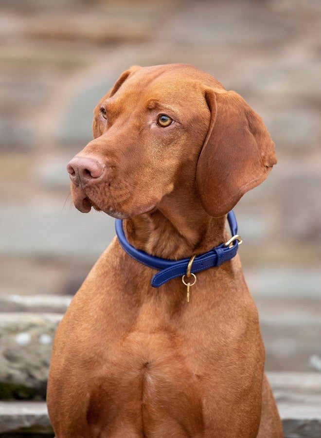 شيريس طوق كلاب من الجلد الملفوف من ديجبي آند فوكس (متوسط، أسود) - Image 2